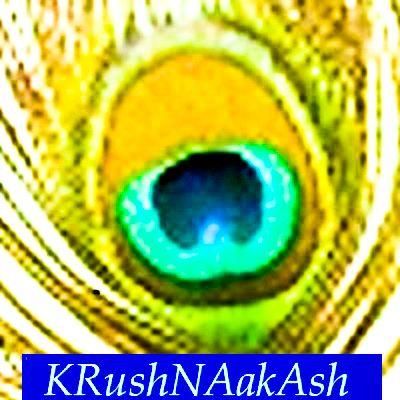 Krushnaakash Technology Services, LLC