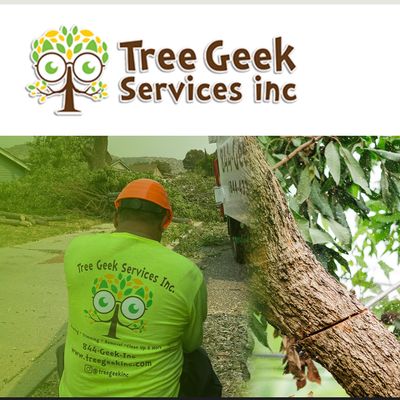 Avatar for Tree Geek Services