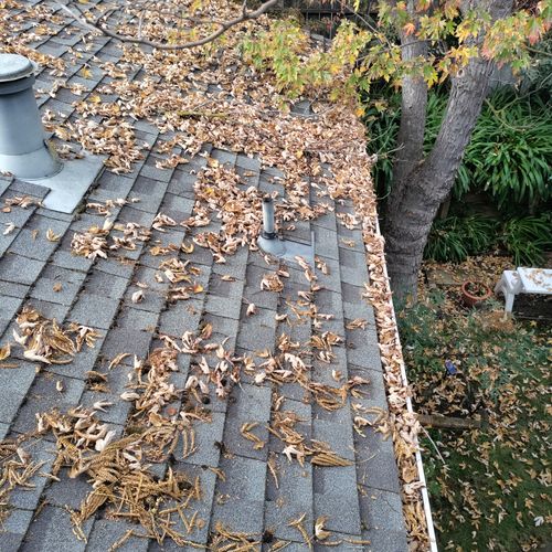 Gutter Cleaning and Maintenance