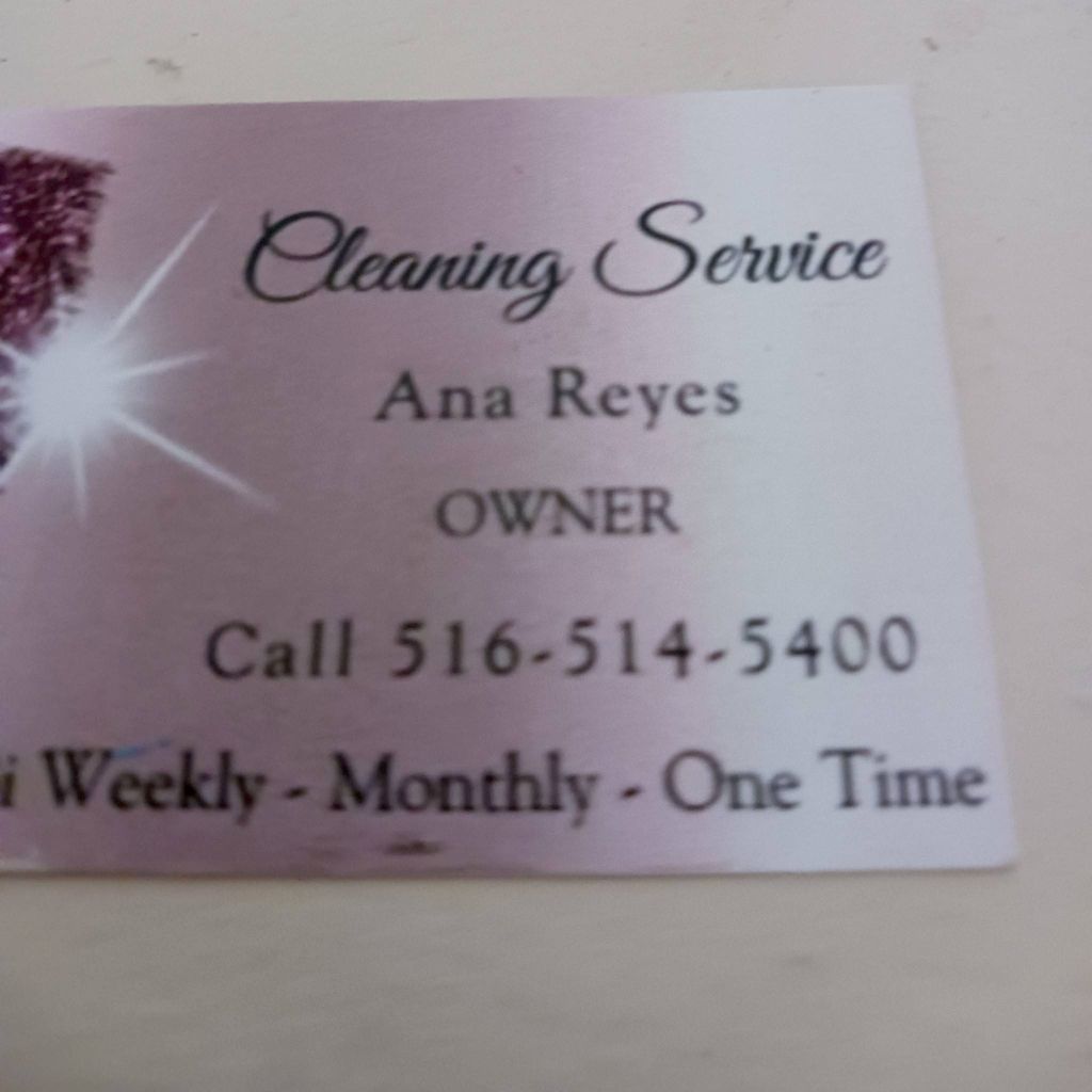 Cleaning Services Daysi