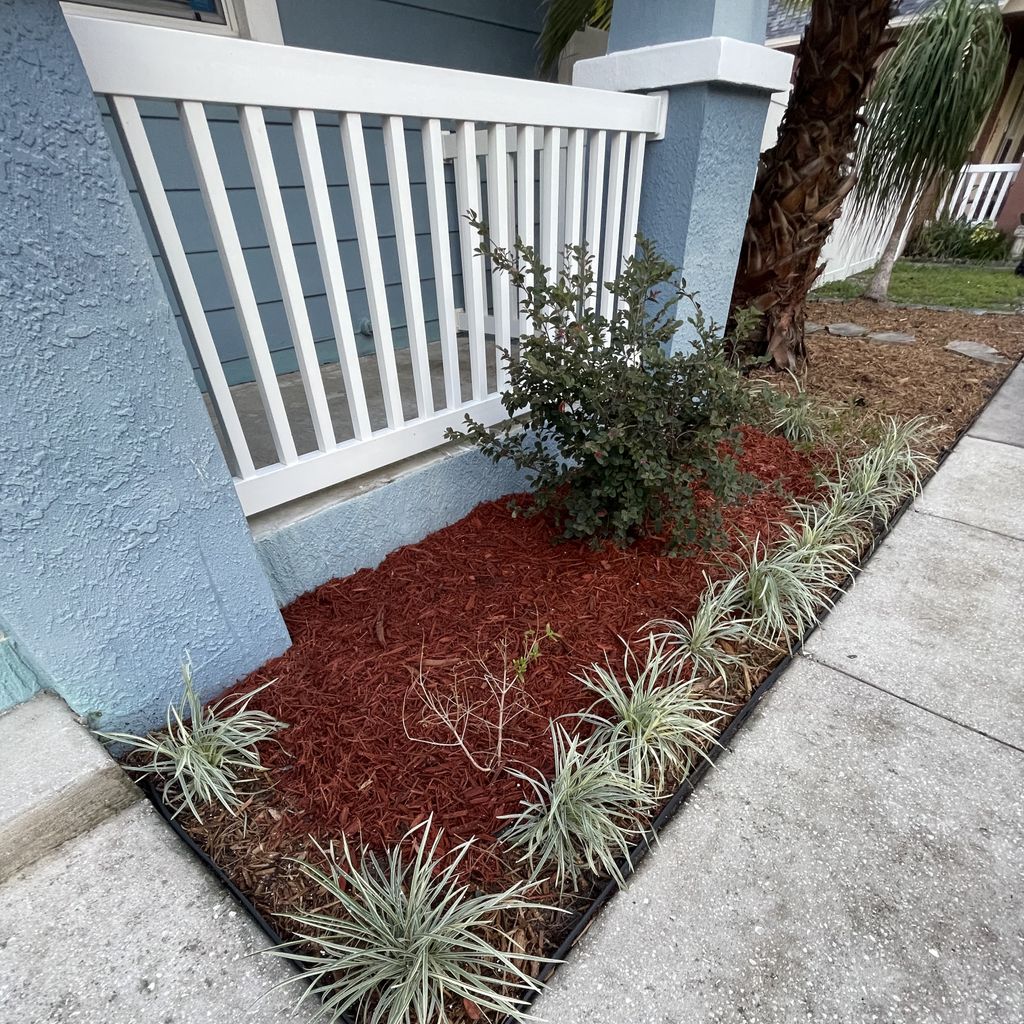 Yard With Plant And Sidewalk Ideas March 2024 Thumbtack