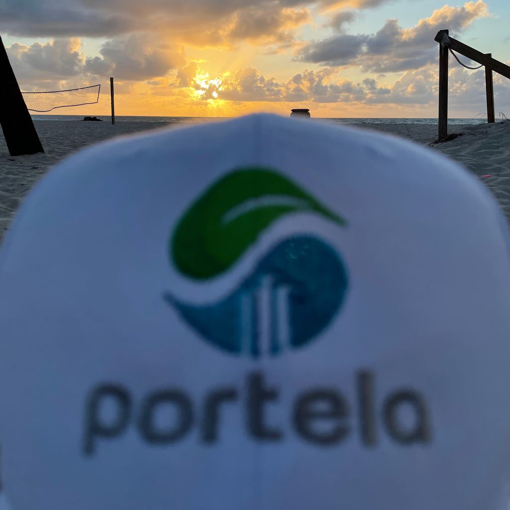 Portela Group llc