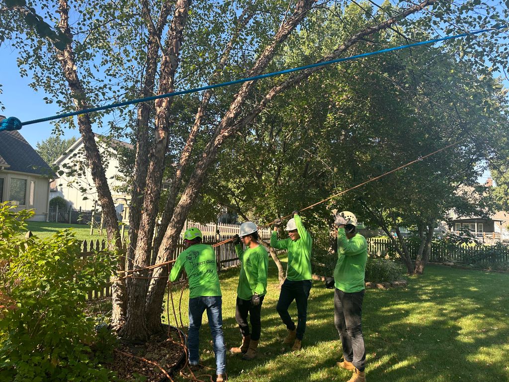 💪Team workers💪