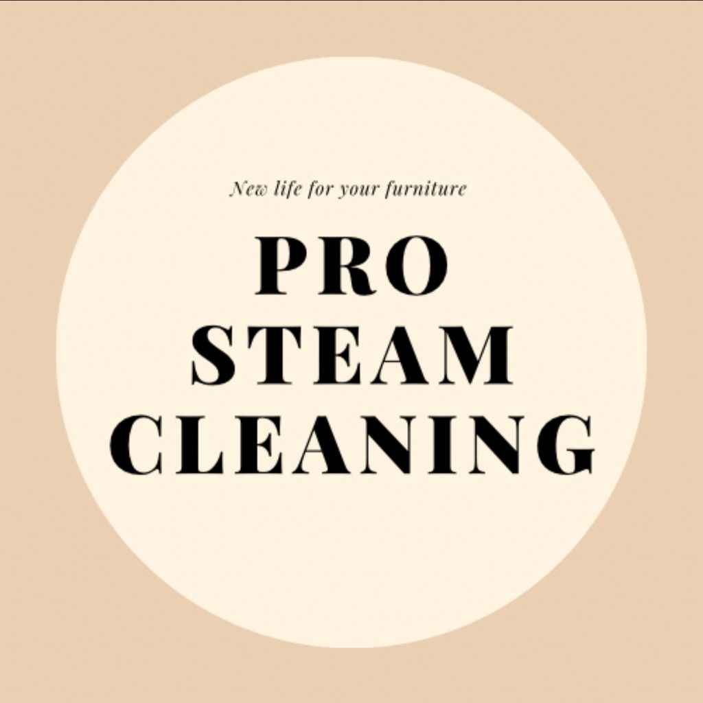 PRO STEAM CLEANING