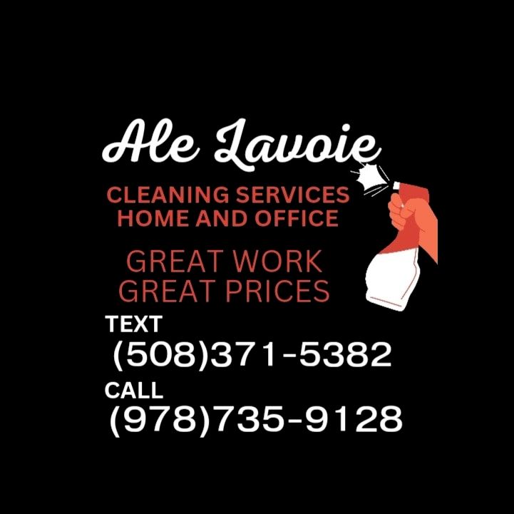 Ale lavoie cleaning and organization