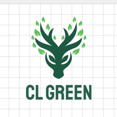 Avatar for CL green