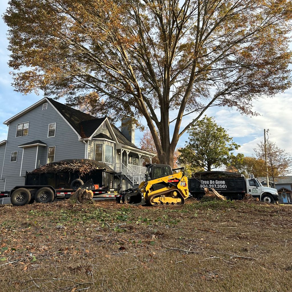 Tree be gone