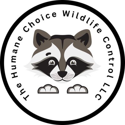 Avatar for The Humane ChoiceWildlife Control llc