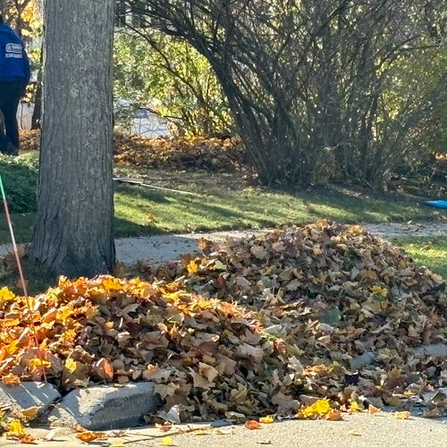 Leaf removal 