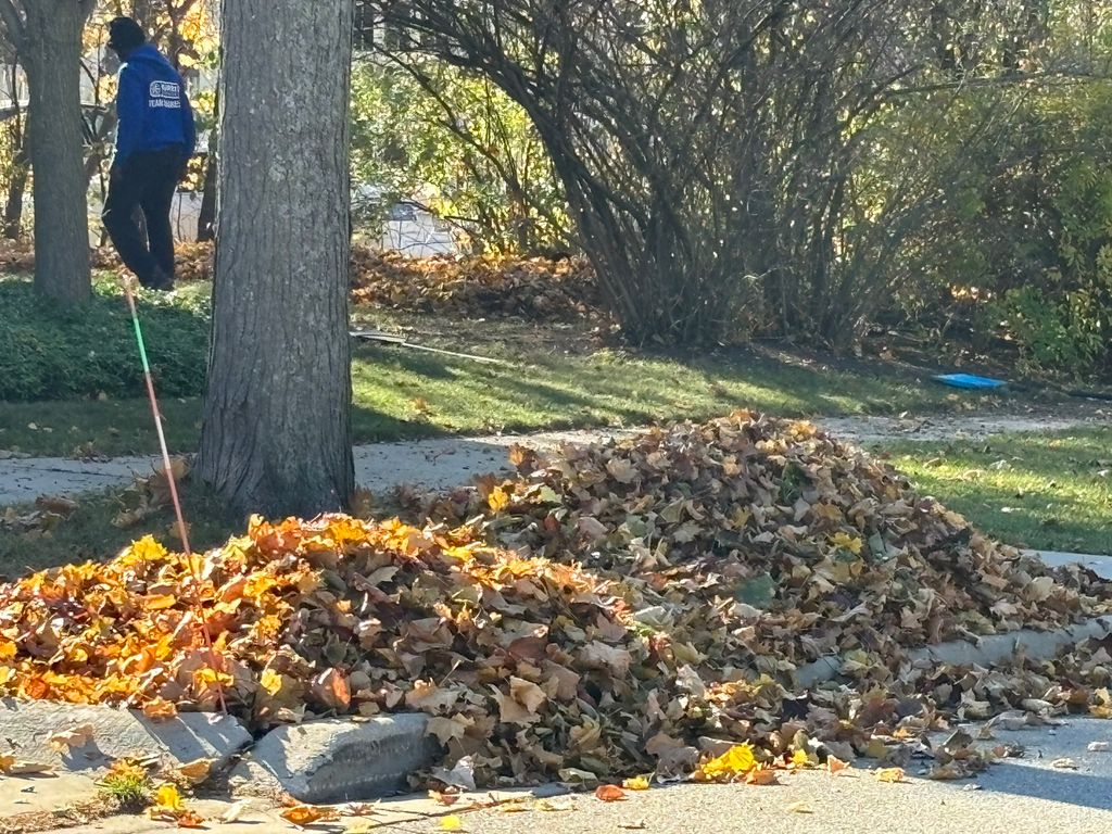 Leaf removal 