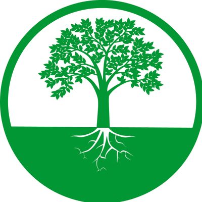 Avatar for Power Tree Removal & Landscaping