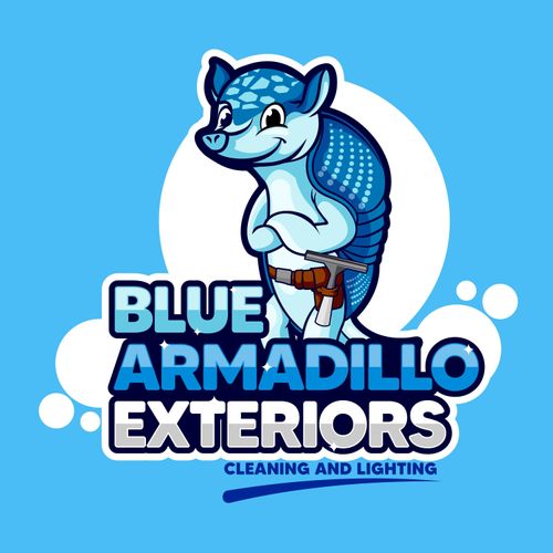 Blue Armadillo Exteriors Profile Picture