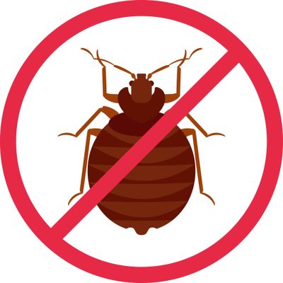 Avatar for RocBedBugs