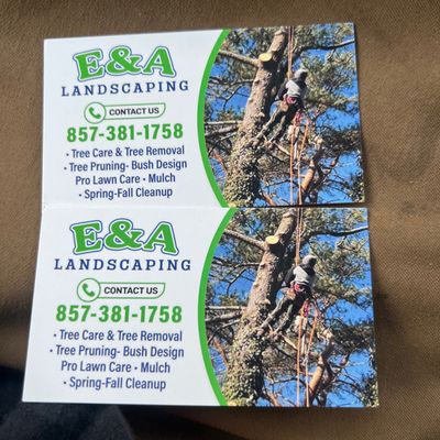 Avatar for E&A landscaping and tree removal tree trimming