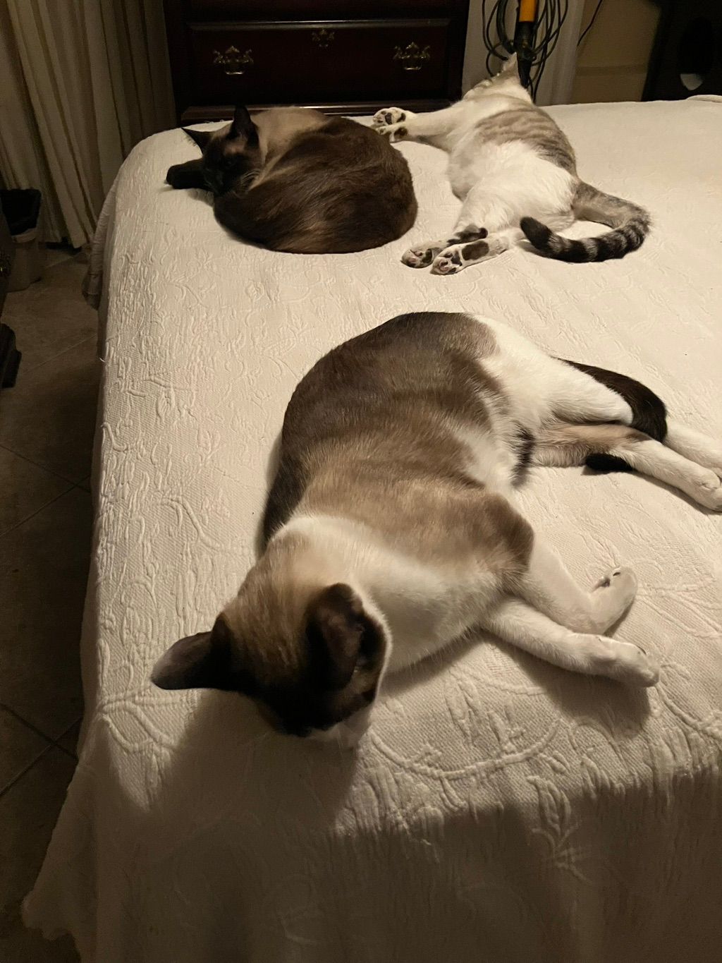 My babies 
