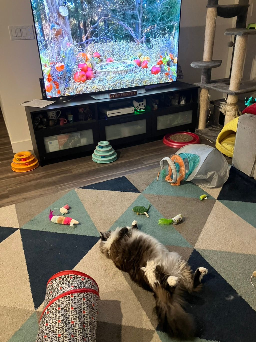 Watching birds 
