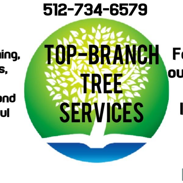 Top-BranchTree&Landscape