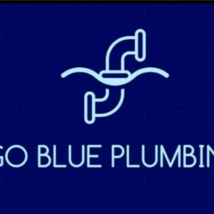 GoBluePlumbing&Handyman