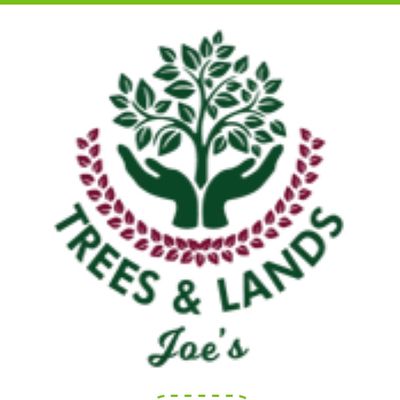 Avatar for Joe’s trees and lands.