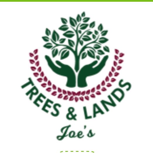 Joe’s trees and lands.