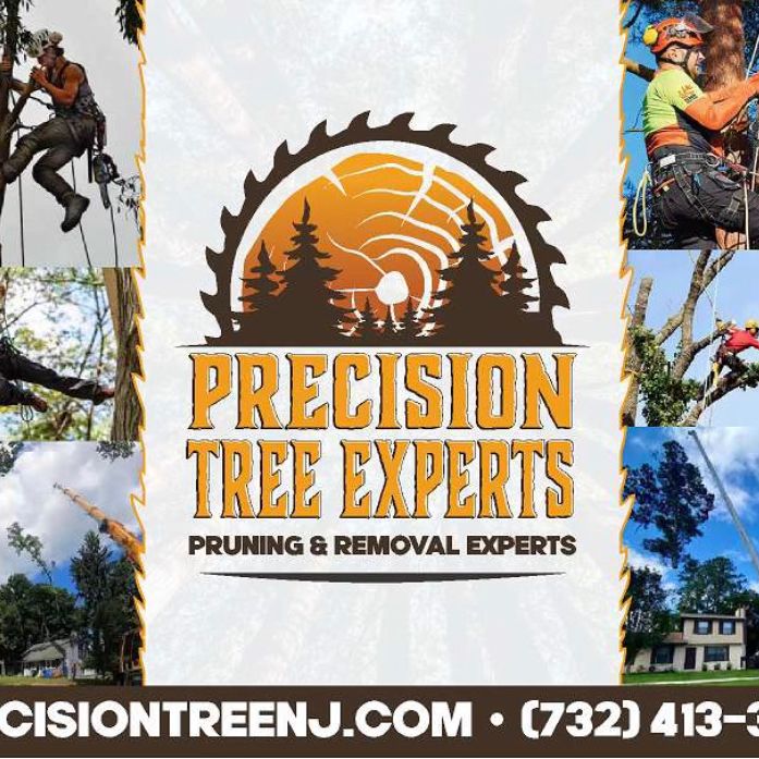 Precission Stump grinding and tree removal