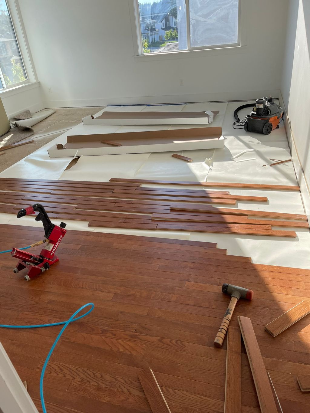 Projects and media