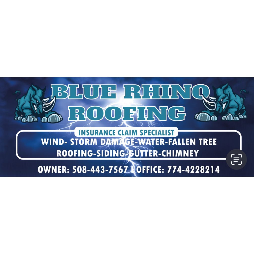 BLUE RHINO ROOFING