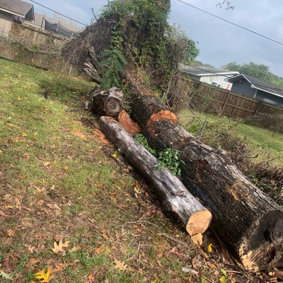 Avatar for Logans tree cutting service llc