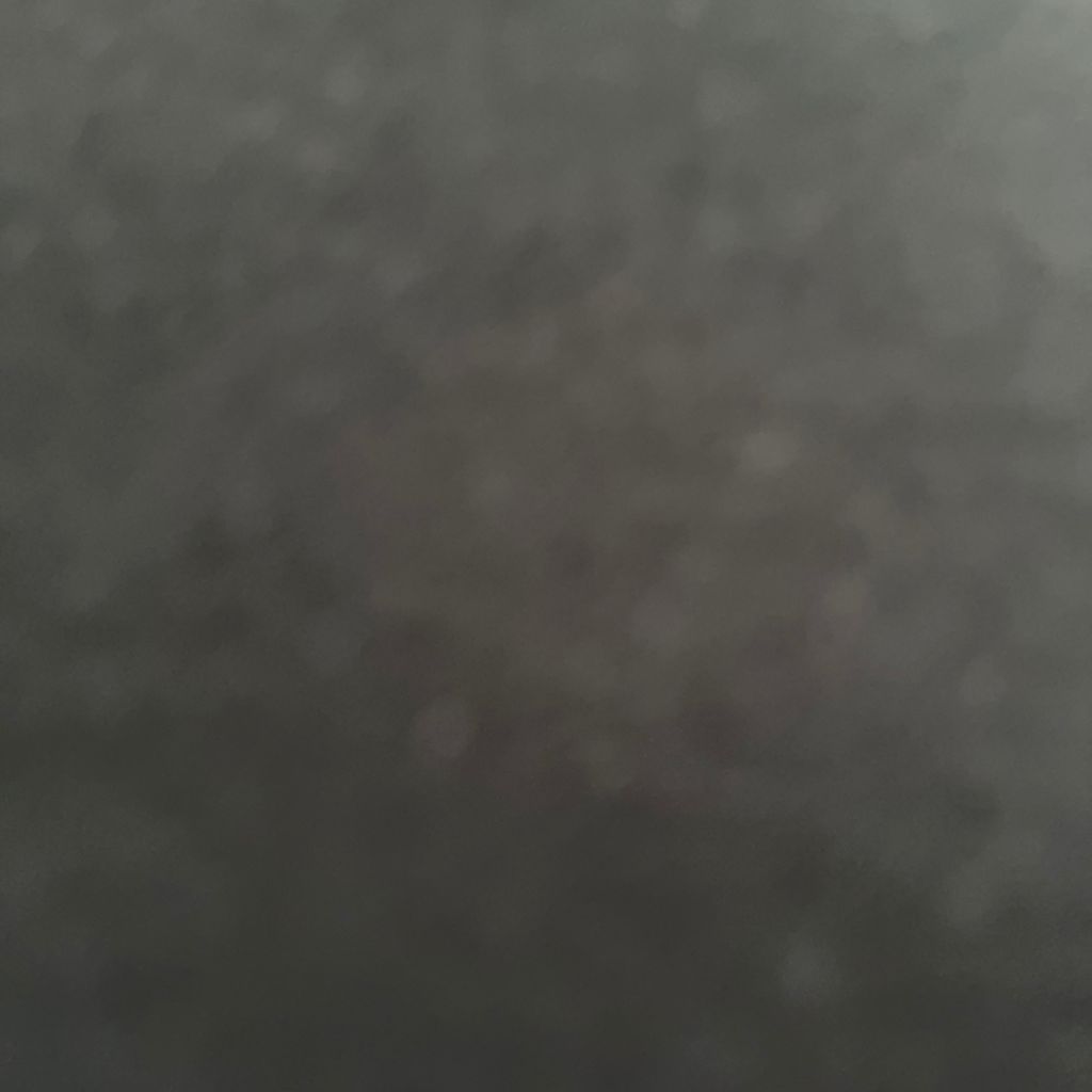pro avatar