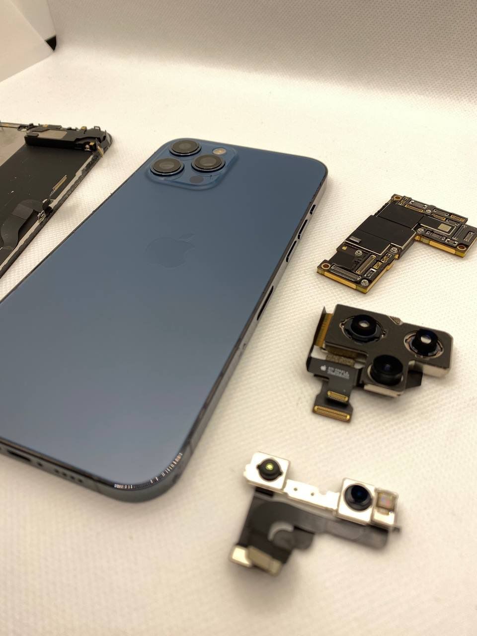 Projects and media