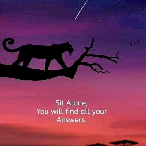 Sit alone