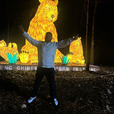 Avatar for N