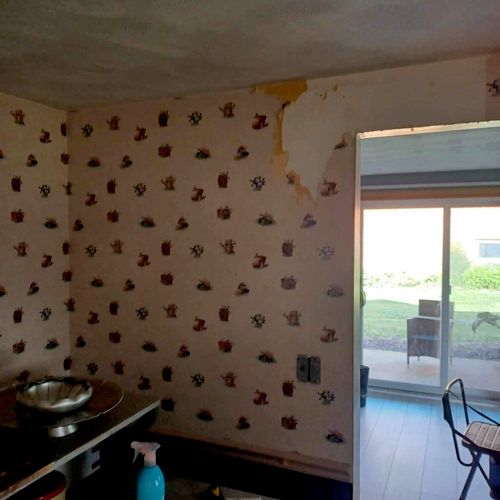 Wall Paper Removal
