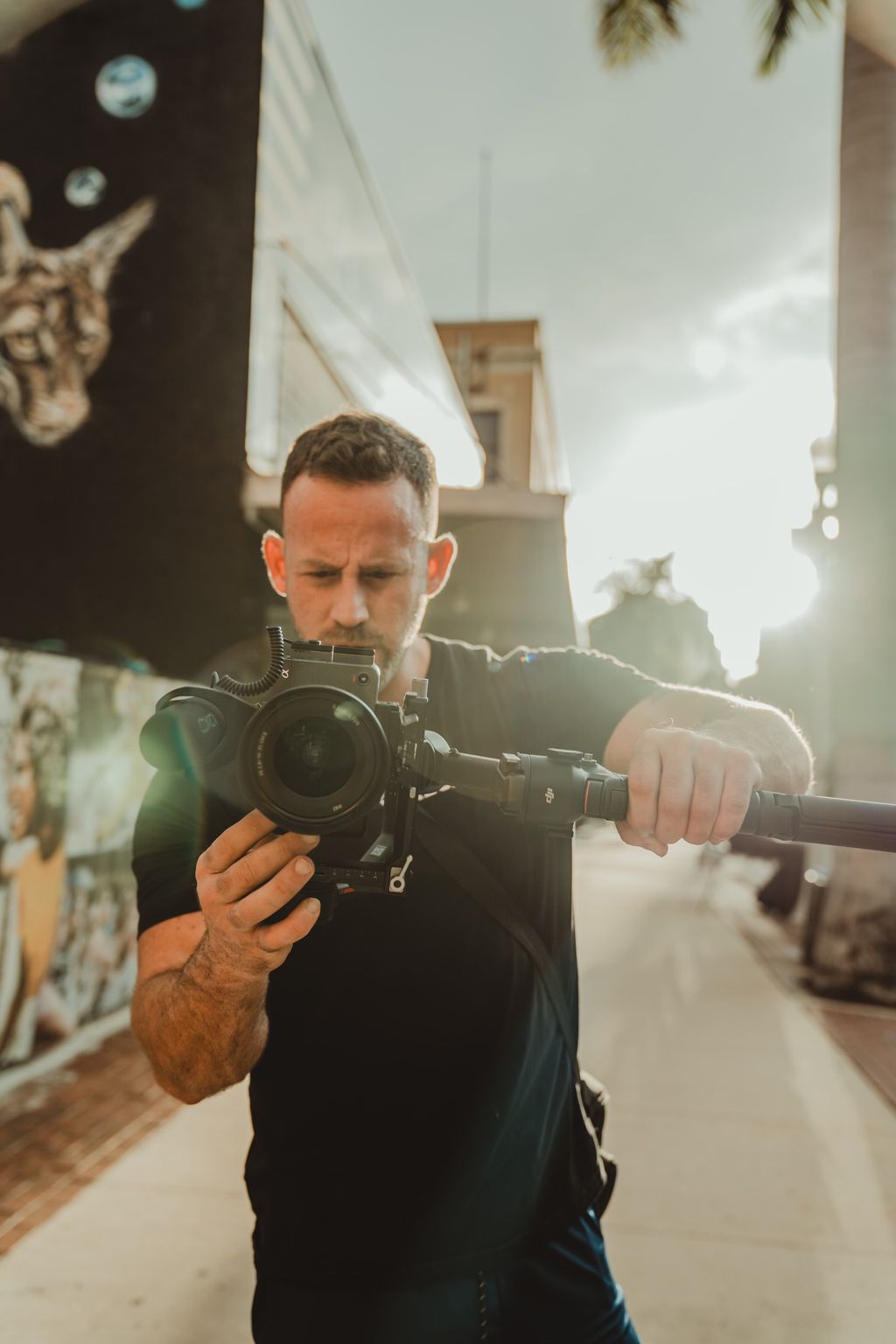Projects and media