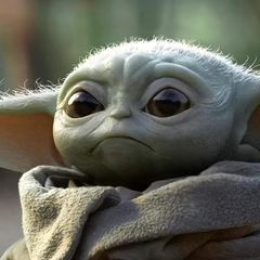 pro avatar