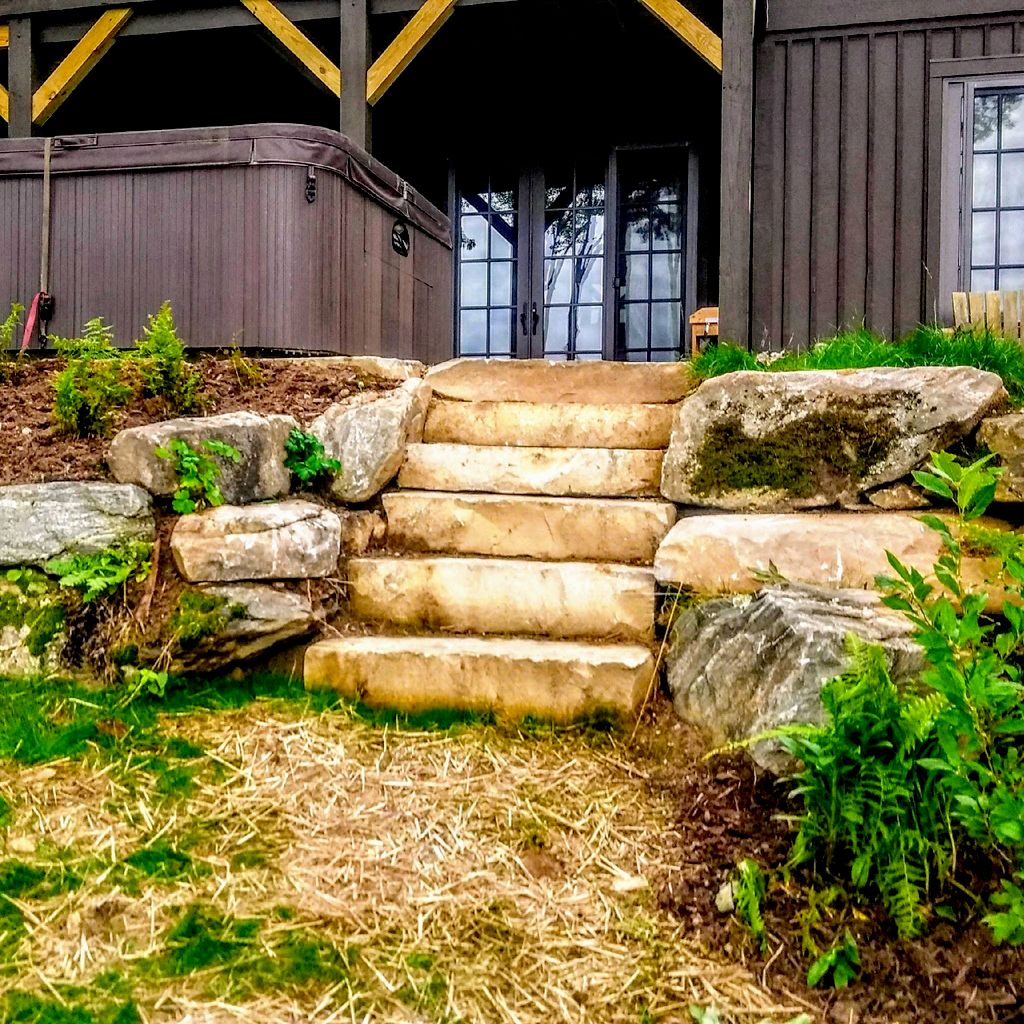 Natural Succession Landscapes