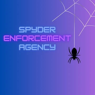 Avatar for Spyder Enforcement Agency LLC.