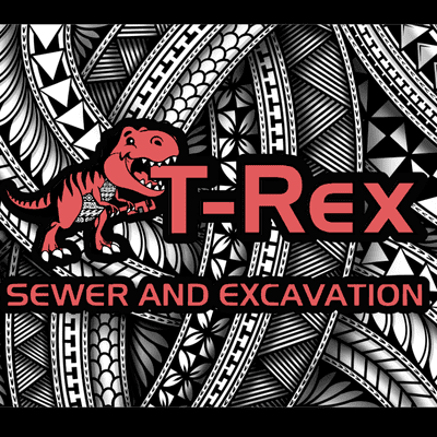 Avatar for T-Rex Sewer & Excavation