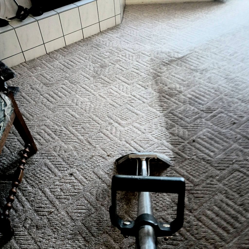 Affordable carpet and upholstery cleaning