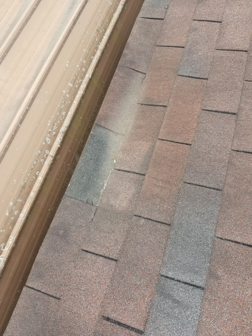 Roof Repair or Maintenance