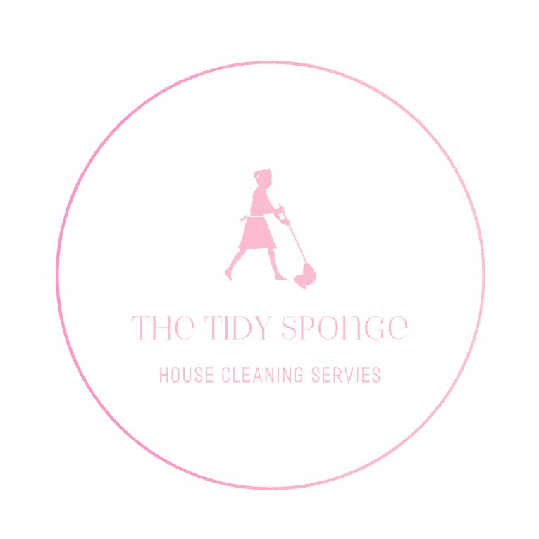 The Tidy Sponge By Reina