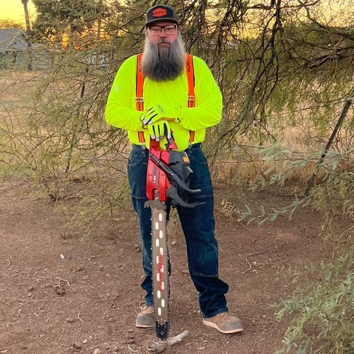 Pioneer Tree Removal LLC