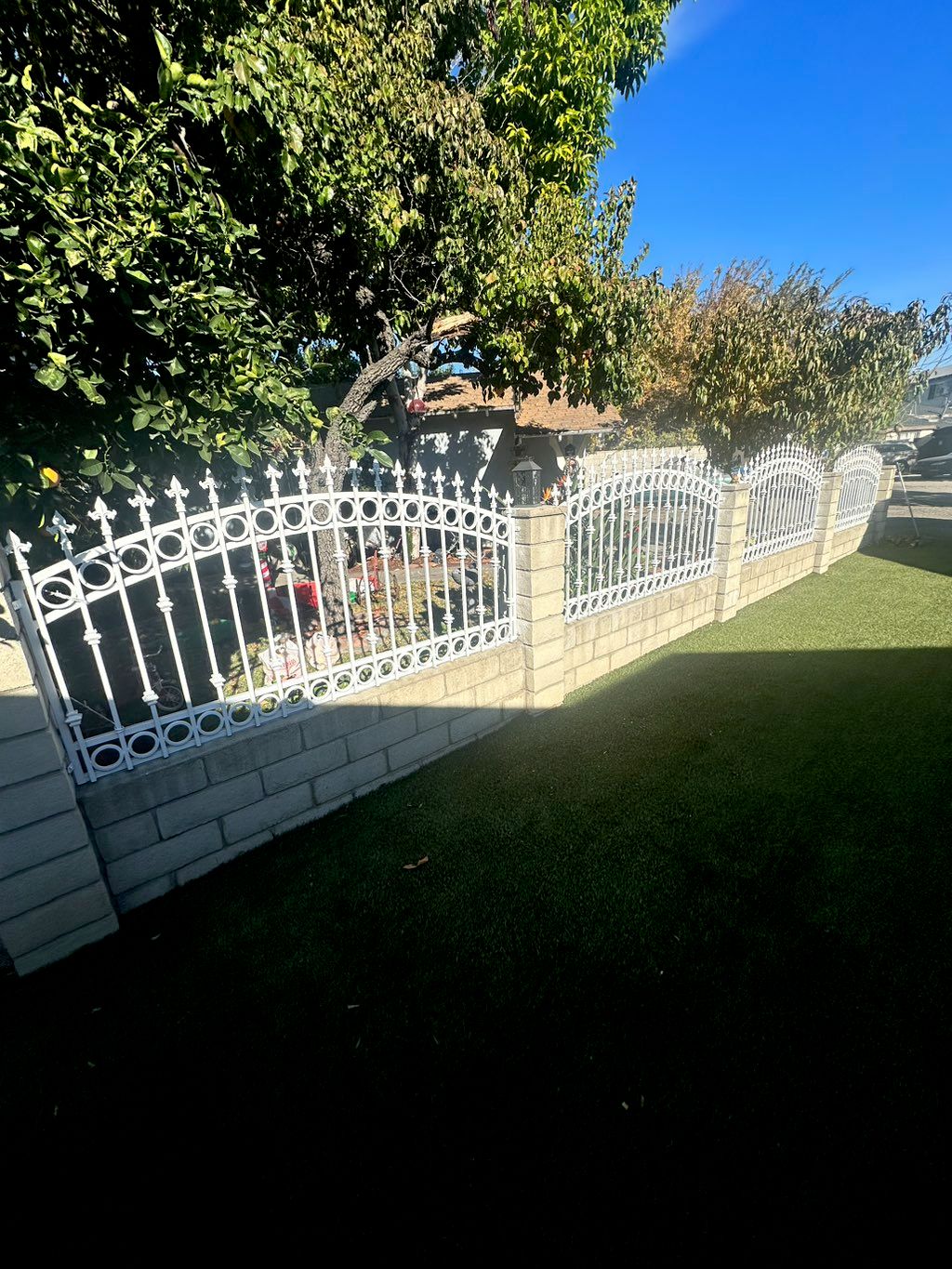 Customer photos