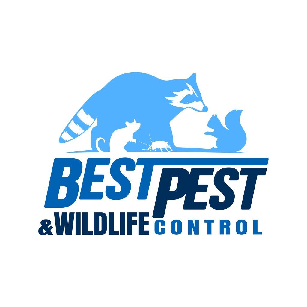 Best Pest & Wildlife Control, LLC