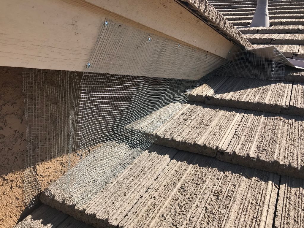 Bird Proofing