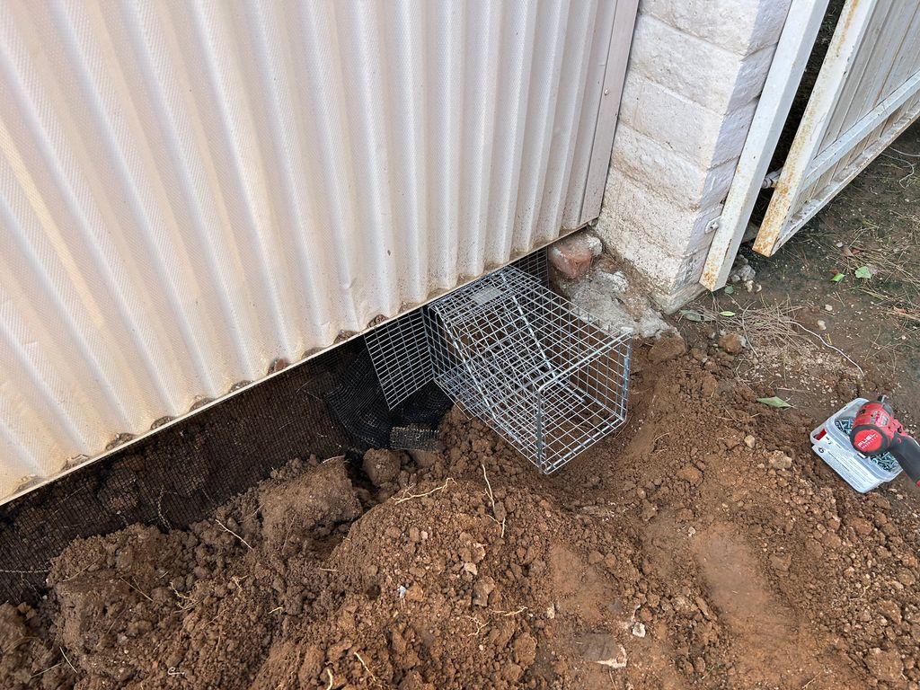 One way door - Evicting ground squirrels