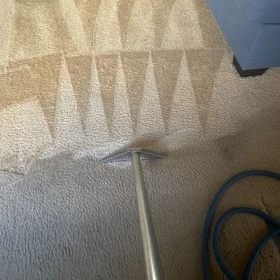 Avatar for Organic choice carpet cleaning