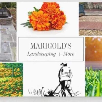 Avatar for Marigold’s Landscaping