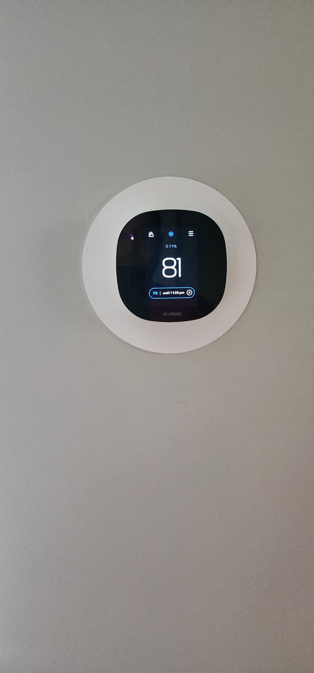 ecobee smart thermostat 