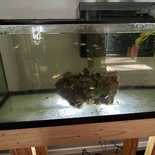 Have been using this service for my Cichlid tank f